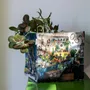 Flower pots - Flower box " Brindille " Paris florist - MARON BOUILLIE