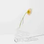 Verres - Cobra Vase/Candle Holder - HOUSE OF NUNU