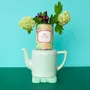 Gifts - Sowing kit “My little cat” made in France - MAUVAISES GRAINES