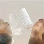 Glass - The Unbreakable Wine Glass - DJUCE STUDIO
