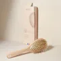 Hair accessories - Boar/Nylon Care & Shine Brush Made in France - BACHCA