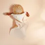 Cosmétiques - Brosse à cheveux démêlante et volume - BACHCA