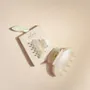 Hair accessories - Small seashell clip - BACHCA