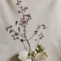 Formal plates - Floral plate with wide flange - MARIA MONASTERIO CERAMIC