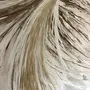 Paintings - Painting Acrylic "Golden Wind" - TURIK&ART (KSENIIA TURIK)
