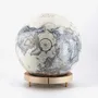 Objets de décoration - Globe Terrestre 36 cm - ORBISTERRAE