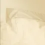 Bed linens - Percale Pillowcase 50 x 70 cm Pure Combed Cotton Long Staples 80 Thread Count/cm² Ivory - COTON PUR
