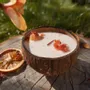 Bougies - Bougie qui devient plante Fleur d'Oranger - LUMINANTE