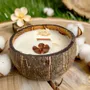 Candles - Candle that becomes a Fleur de Coton plant - LUMINANTE