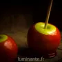 Candles - Candle that becomes a Pomme d'Amour plant - LUMINANTE