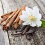 Candles - Candle that becomes a Vanilla plant - LUMINANTE