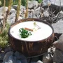 Candles - Candle that becomes a Verbena plant - LUMINANTE