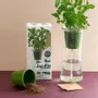 Garden accessories - Autonomous garden Basil grand vert bio - RADIS ET CAPUCINE