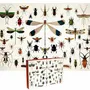 Gifts - Vintage 1000 pieces Jigsaw Puzzles from Penny Puzzle - PENNY PUZZLE