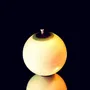 Gifts - Bollywood Globe Fig Tree Candle - PONPON CURIOSITAS