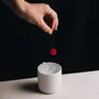 Mugs - Tajimi - ACME