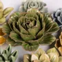 Céramique - Collection de jardins anglais à fleurs en céramique - CHIVE