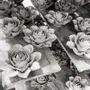 Céramique - Collection japonaise de fleurs en céramique - CHIVE