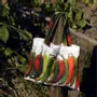 Sacs et cabas - Sac de course - Sac à Radis - Sac à Piments - MARON BOUILLIE