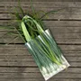 Sacs et cabas - Sac de course - Sac à Oignons - Sac à Asperges - MARON BOUILLIE