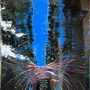 Tableaux - 5th Avenue - TURIK&ART (KSENIIA TURIK)