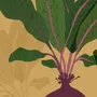 Poster - THE BEETROOT - MARIE KAZMIERCZAK