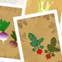 Poster - THE BEETROOT - MARIE KAZMIERCZAK