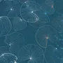 Poster - JELLYFISH #1 - MARIE KAZMIERCZAK