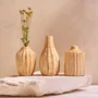 Vases - Kiln Mango Mini Vases - BE HOME