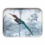 Trays - Jacamar emerald enamelled tray - PARADISIO IMAGINARIUM