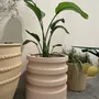 Flower pots - Pots - Mediterranean collection - GUADARTE