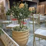 Outdoor decorative accessories - Ceramic pot Big Size - GUADARTE
