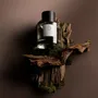 Parfums pour soi et eaux de toilette - Balade in Autumn - SENTIER FRAGRANCE