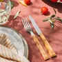 Ménagères - Table au soleil - OPINEL