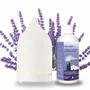 Scent diffusers - HOME PACK - AER INSIDE