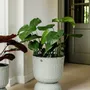Pottery - TWIST - plant basket. - HANDED BY