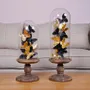 Objets de décoration - S/2 ASS.DE PAPILLONS NOIR/GOLD SOUS GLOBE - FANCY