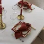 Table linen - Cotton Double Gauze Napkins (Set of 2) - LES PENSIONNAIRES