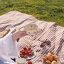 Linge de table textile - Nappe vichy en lin et coton - LES PENSIONNAIRES