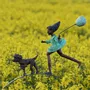 Outdoor decorative accessories - Wonder sculptures - DAWN CONN SCULPTURE LIMITED