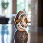 Decorative objects - DAMARELLE COLLECTION - NOUR BOUGIE
