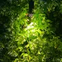 Outdoor floor lamps - ELYXIR LED pathway light - LYX LUMINAIRES