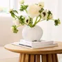 Vases - World of Wonders Collection. 2025. - RAEDER DESIGN STORIES