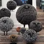 Sculptures, statuettes and miniatures - The steel sheep by Emmanuel Fleury - GALERIE SEBBAN