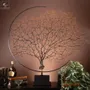 Objets de décoration - Nos produits incontournables. - OBJET DE CURIOSITÉ