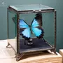 Objets personnalisables - Notre collection de papillons. - OBJET DE CURIOSITÉ