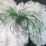 Paintings - Painting acrylic "Mojito" - TURIK&ART (KSENIIA TURIK)
