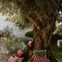 Garden textiles - Cushion Janis Bordeaux & Pink - PALAIS SUSTAINABLE LUXURY