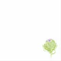 Table linen - Set of 4 embroidered napkins. Collection ARTICHOKE - ARTIPARIS
