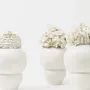 Design objects - BABUSHKA - FEINEDINGE